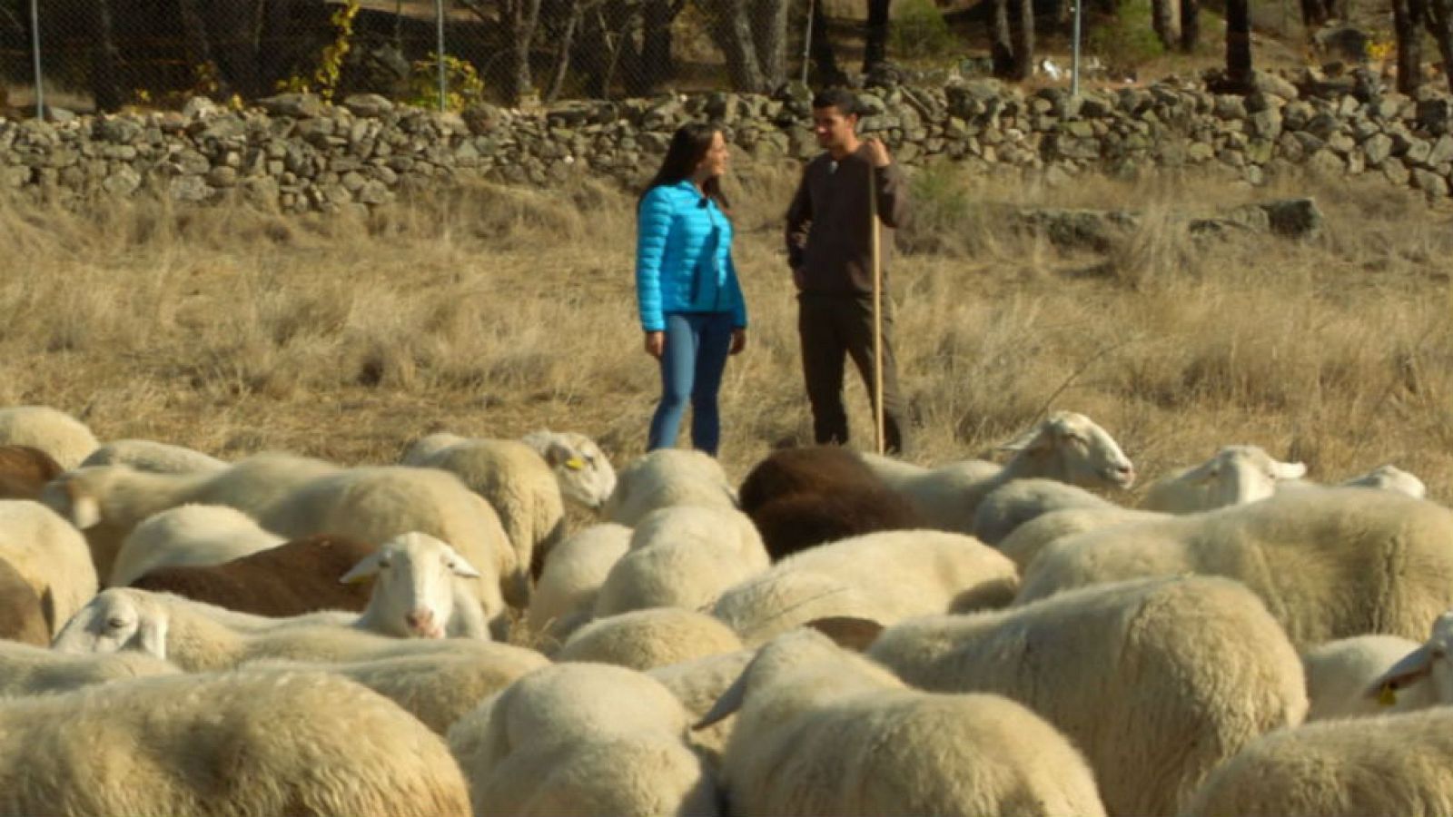 Aprendiendo a ser pastor
