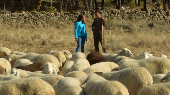 Aquí la Tierra - Aprendiendo a ser pastor