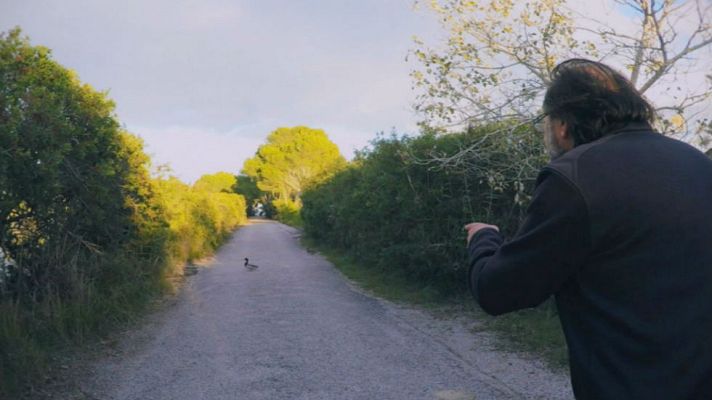 Aquí la Tierra - La Albufera de Mallorca, hectáreas de alegría