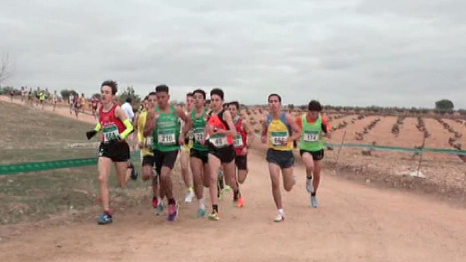 Cross - Nacional Castellano-Manchego. Resumen - ver ahora
