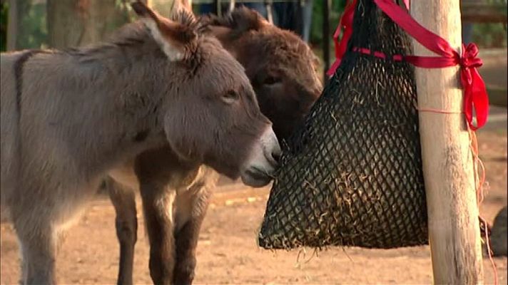 La 2 Noticias - La 2 Noticias - 14/12/17