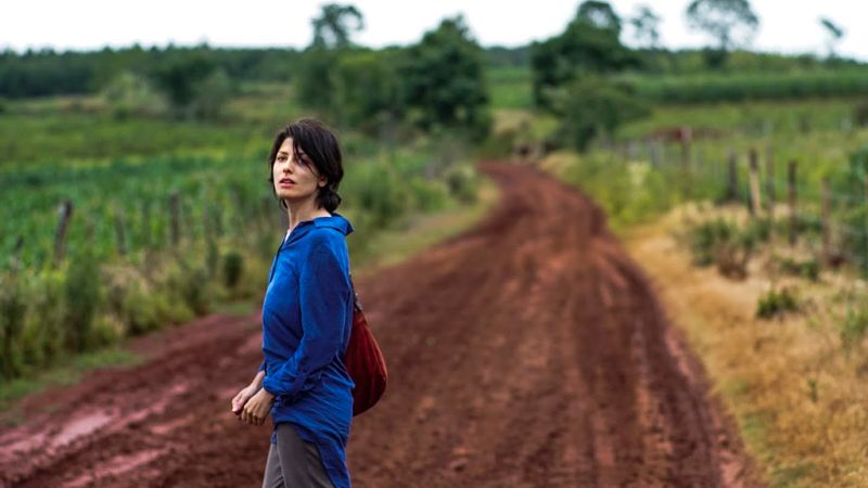 'Una especie de familia'