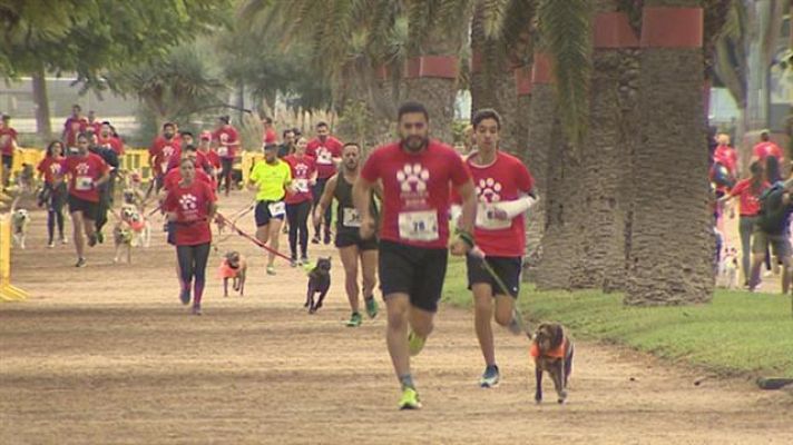 Telecanarias - Telecanarias - 16/12/2017