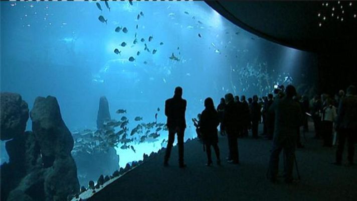 Cerca de ti - Cerca de ti - 18/12/2017