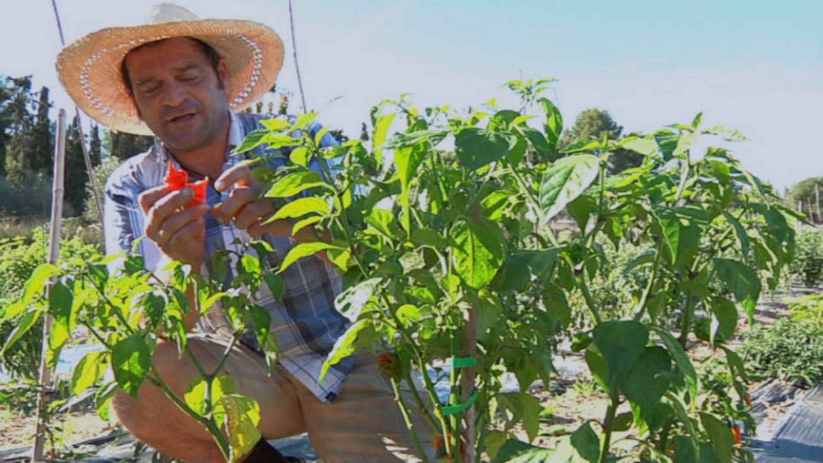 El auténtico Chiliman