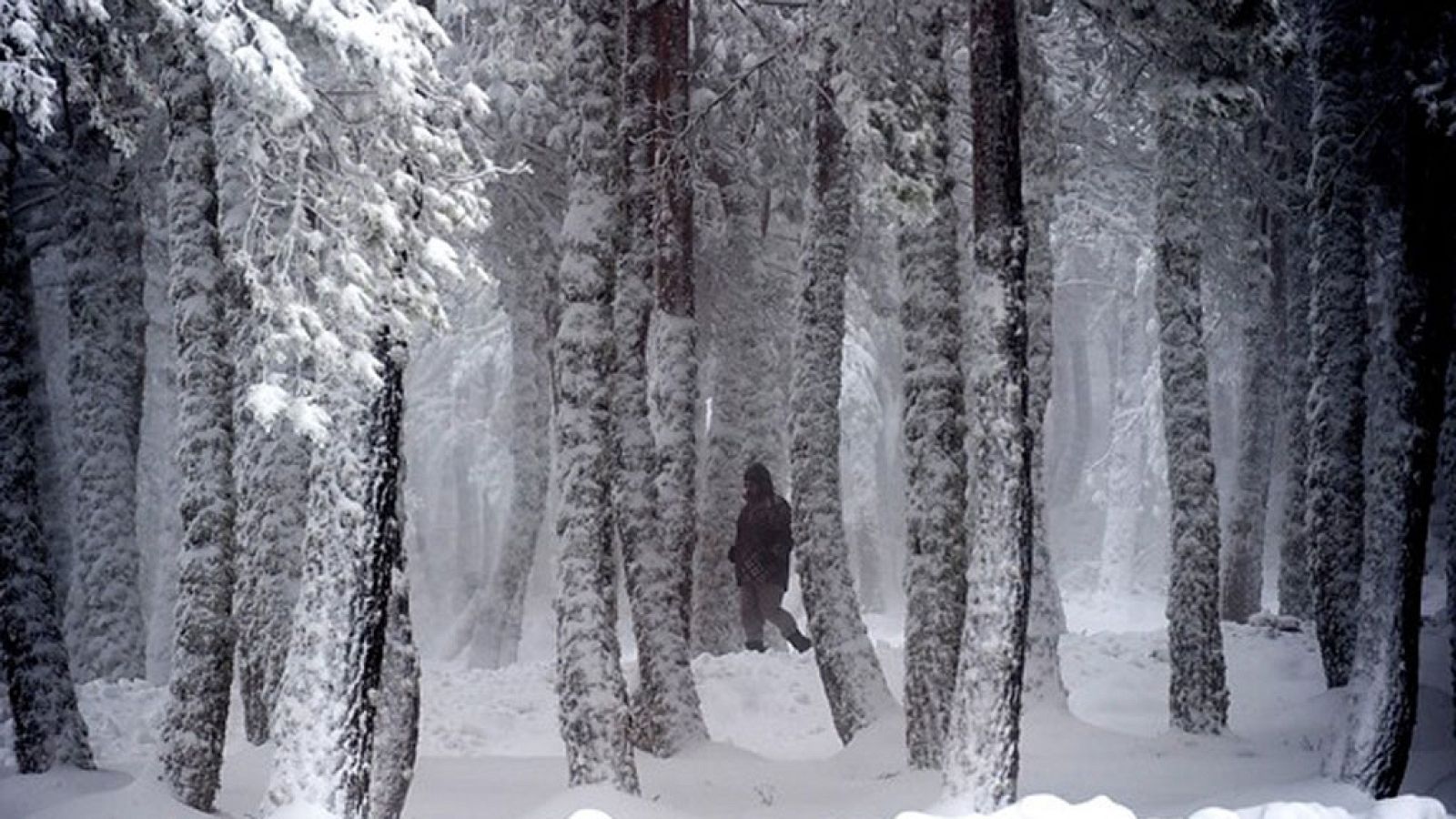 Lluvias persistentes y nevadas en Cantábrico y Pirineos