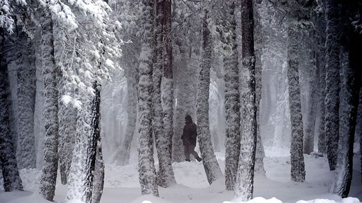 El tiempo - Lluvias persistentes y nevadas en Cantábrico y Pirineos