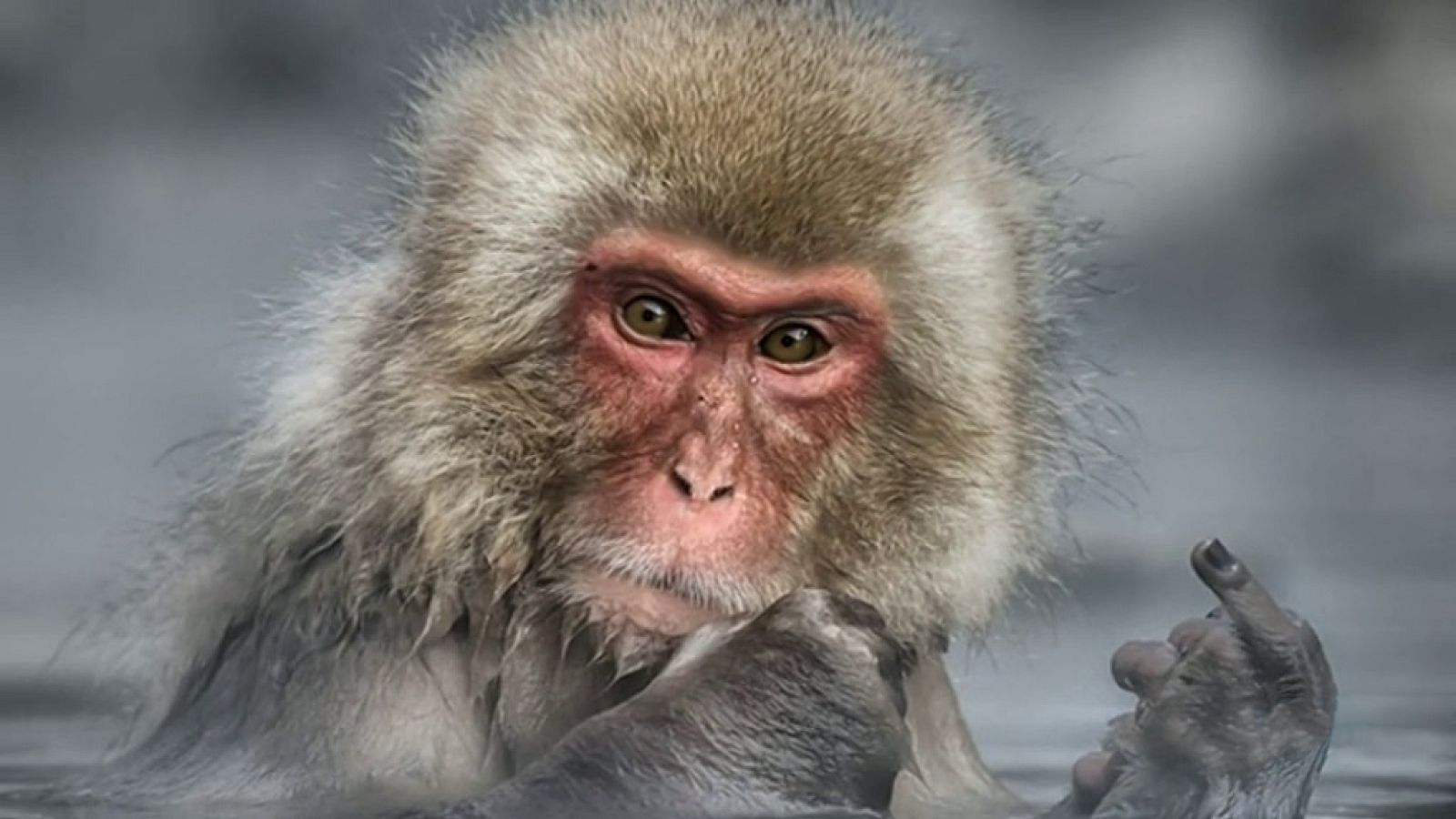 La 2 Noticias - 19/12/17 - ver ahora