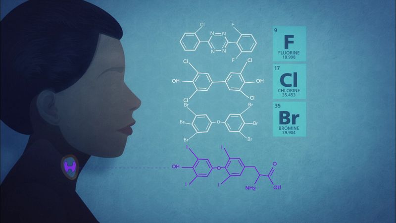 Documentos TV - Cerebros en peligro - ver ahora