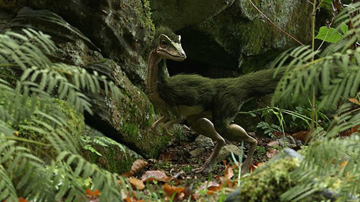 Documenta2 - 300 millones de años: La gran colisión