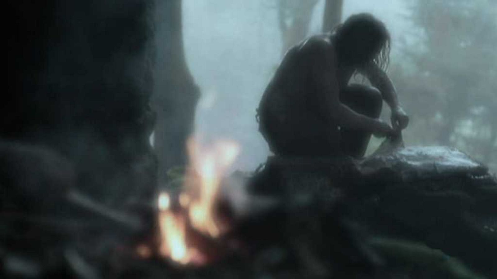 Documenta2 - 300 millones de años: El planeta humano - ver ahora