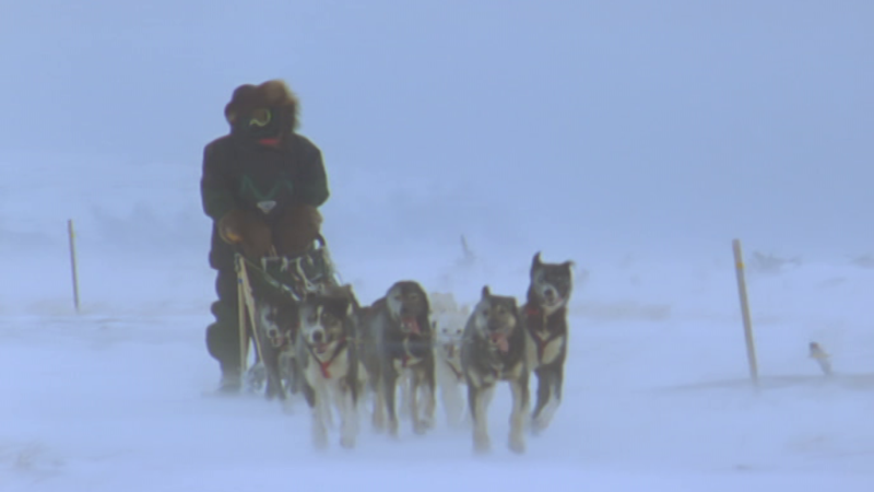 Al filo de lo imposible - El silencio blanco - Al filo de lo imposible | Ver