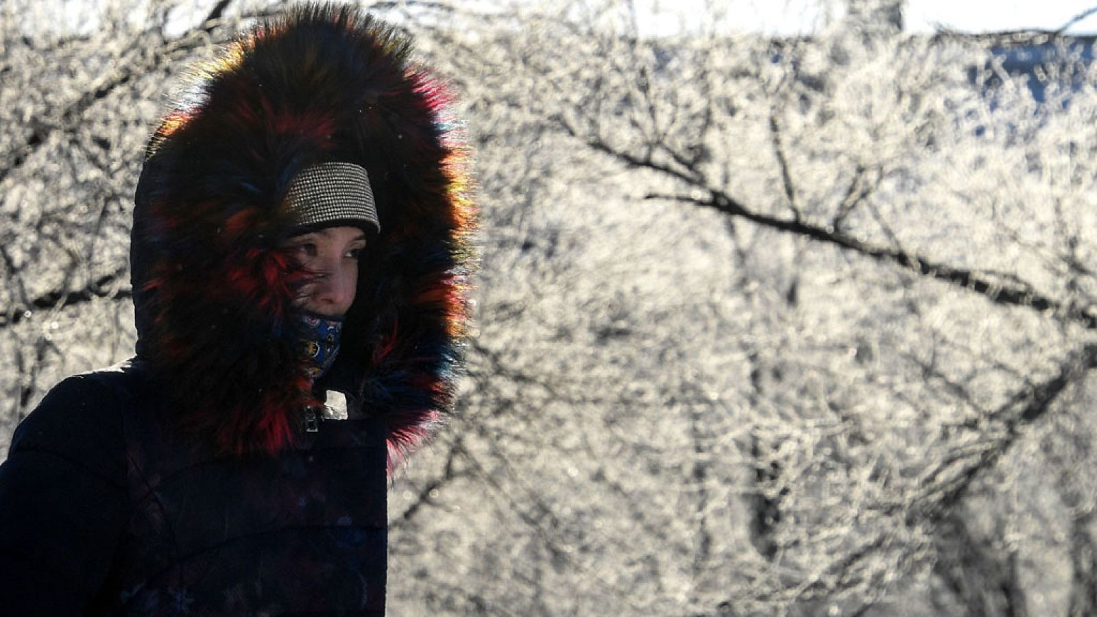 Intensas nieblas en interior peninsular y poco nuboso resto de España