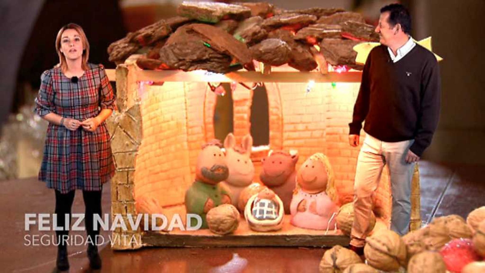 Seguridad Vital - 24/12/17 - ver ahora