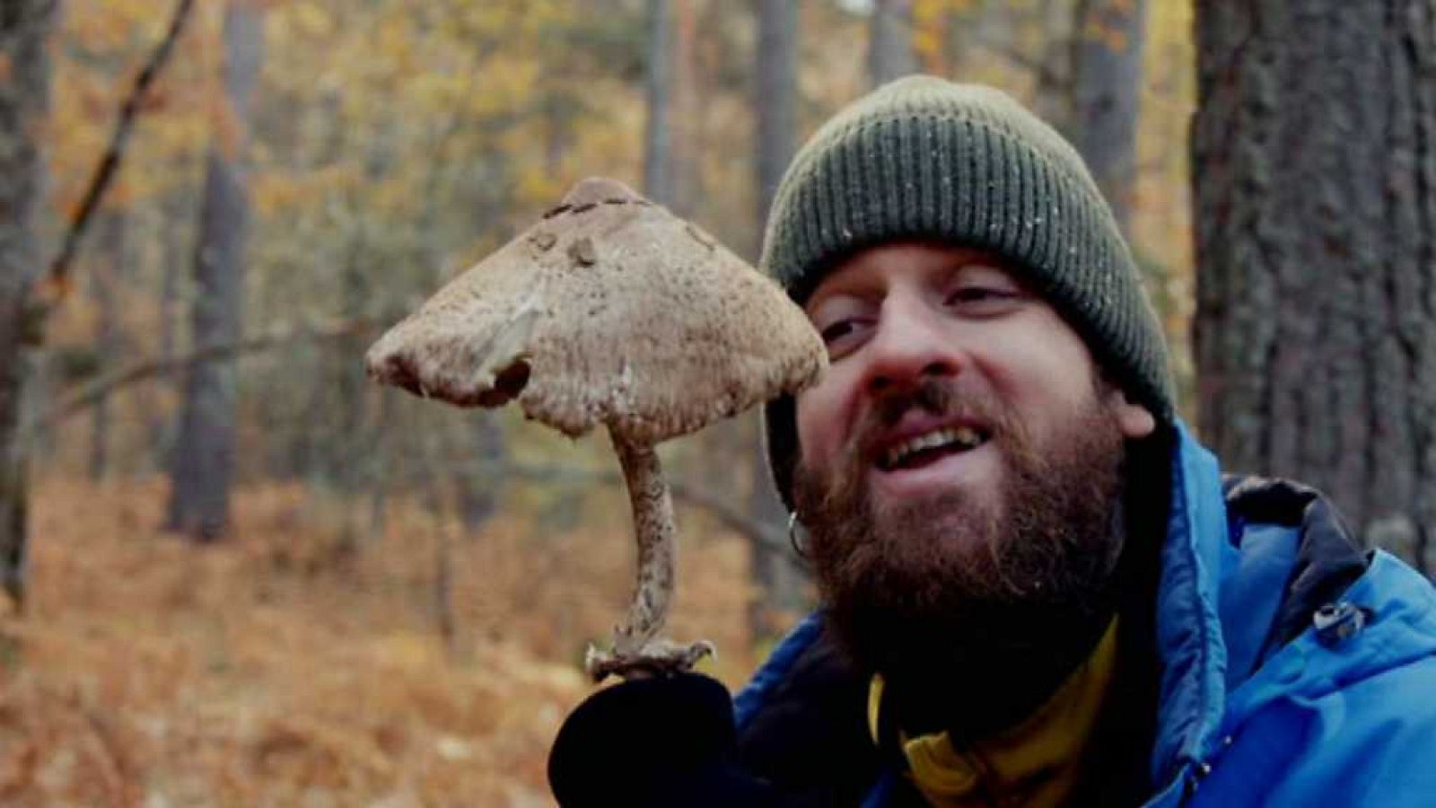 El señor de los bosques - Edu Soto - Ver ahora