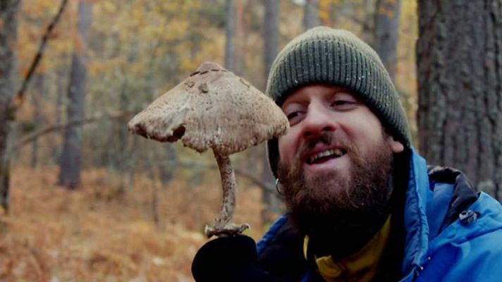 El señor de los bosques - Edu Soto