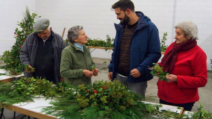 Aquí la Tierra - El acebo como forma de vida