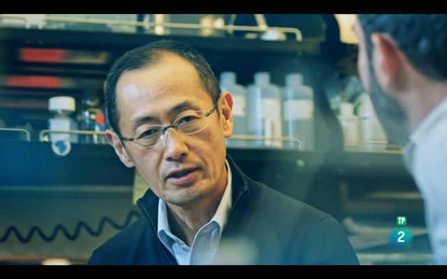 El cazador de cerebros - Entrevista a Shinya Yamanaka