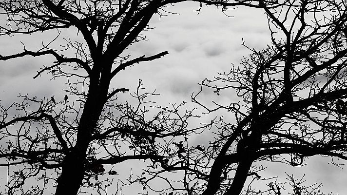 Informativo de Madrid - El Tiempo en la Comunidad de Madrid - 28/12/17