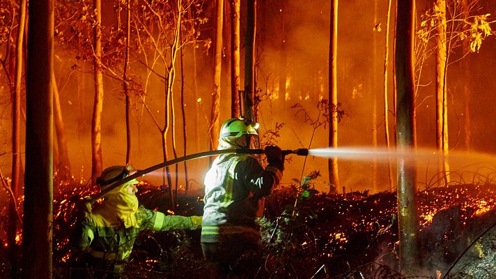 Telediario 1 - Incendios: en 2017 ardió el doble de hectáreas de otros años