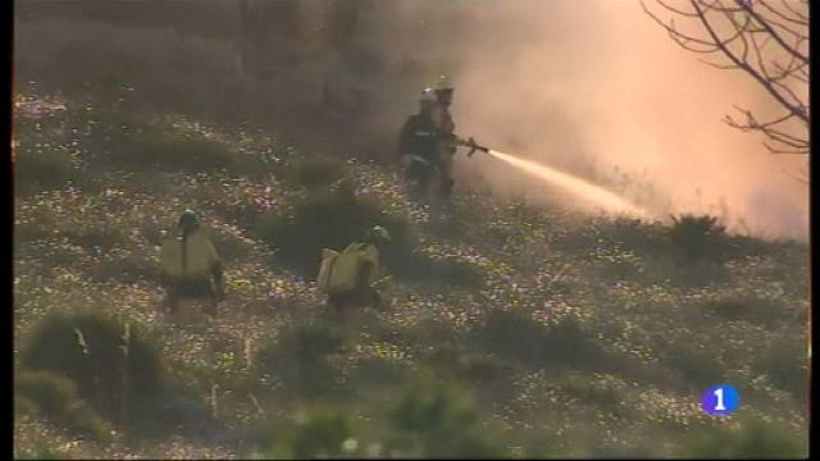 Controlat l'incendi de Pollença.