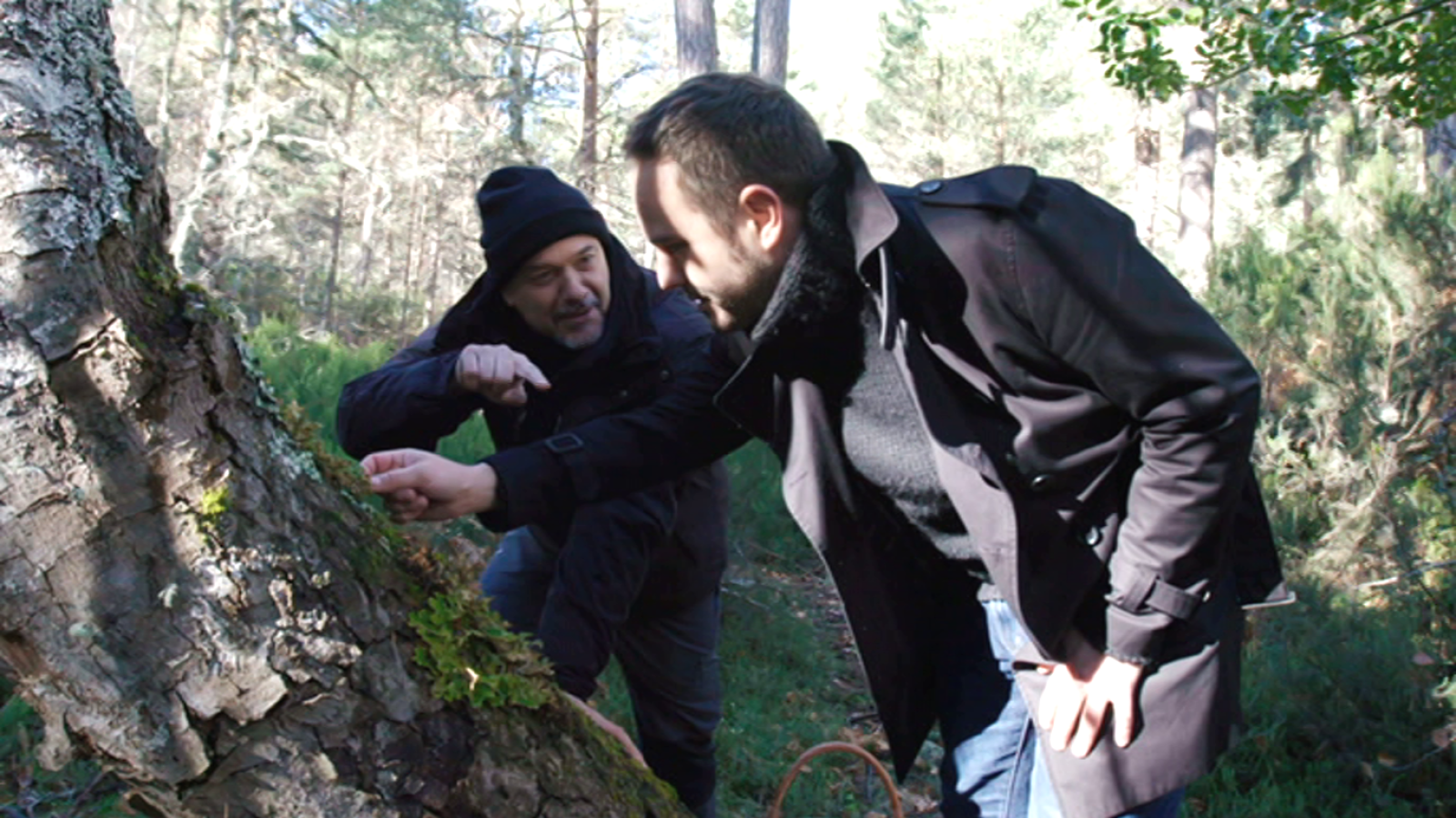 El señor de los bosques - Jorge Blass - Ver ahora