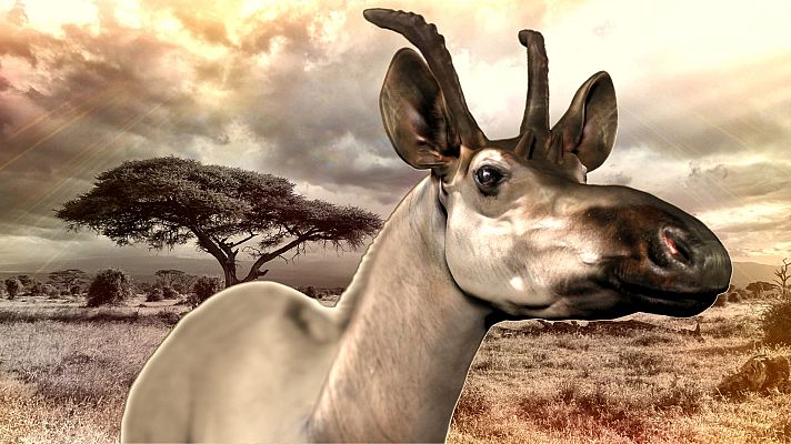 Telediario 1 - Las nuevas especies, un tesoro biológico