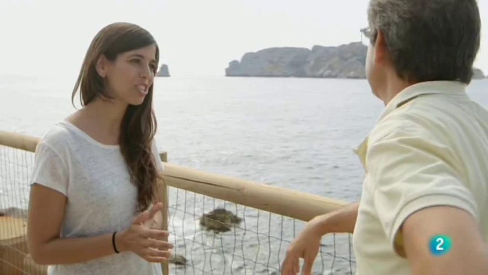 Animalades - Recopilatori especial