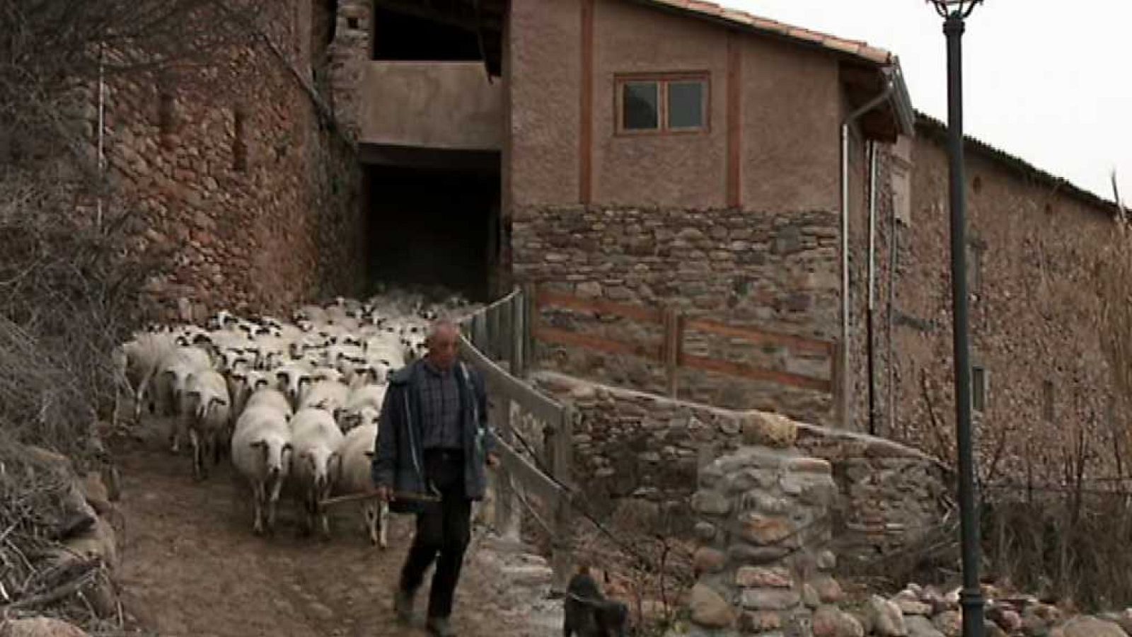 Agrosfera - 06/01/18 - ver ahora