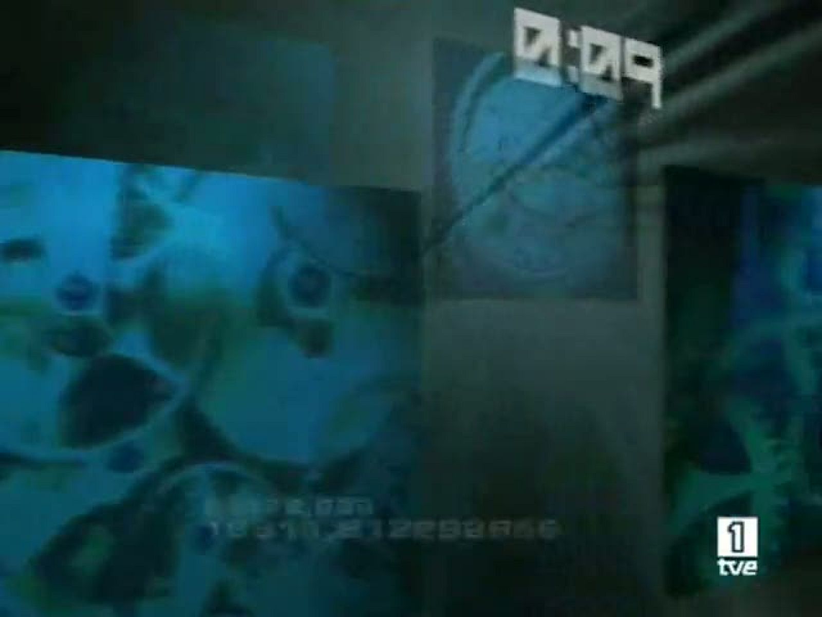 59-segundos---21-04-08 original - 59 segundos | Ver