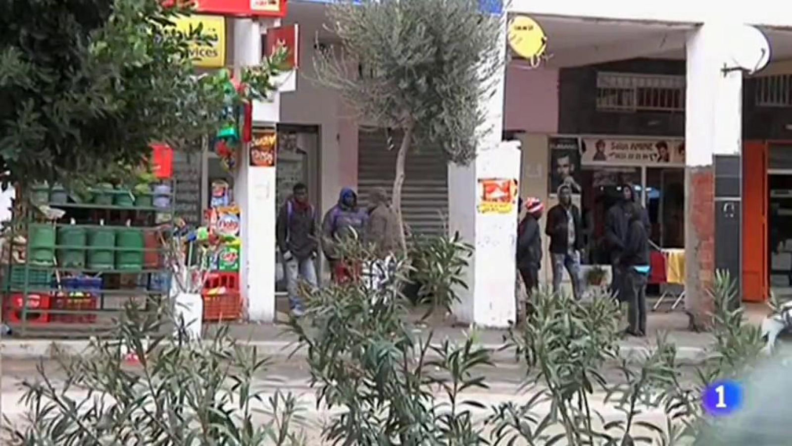 Boujálev, a las afueras de Tánger, es un pequeño retrato del continente africano