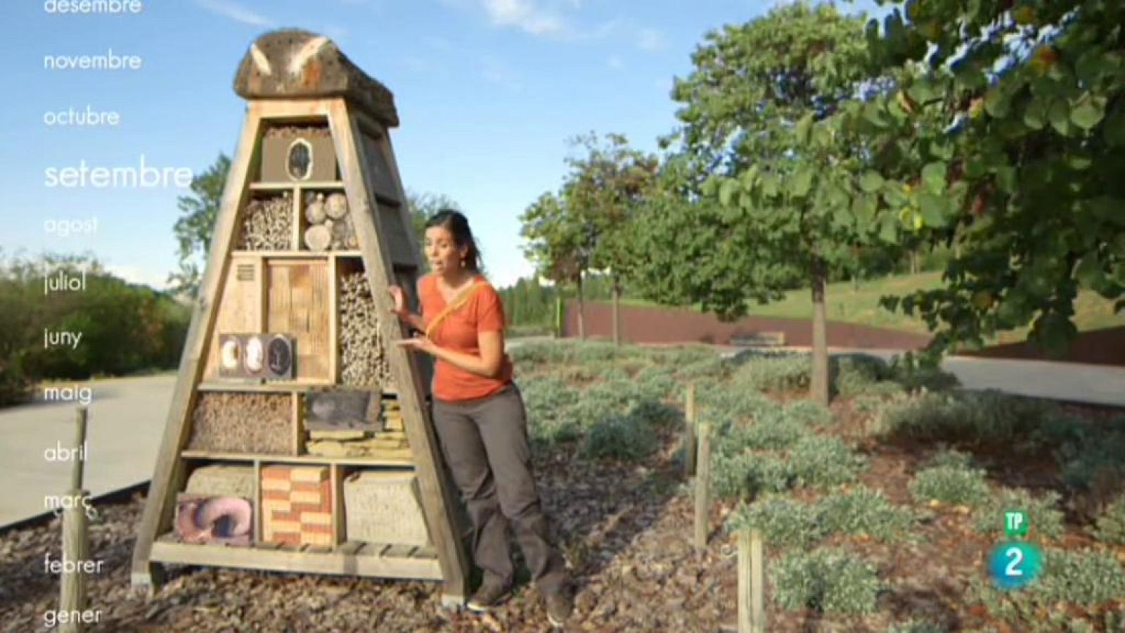 Animalades - Terra Baixa