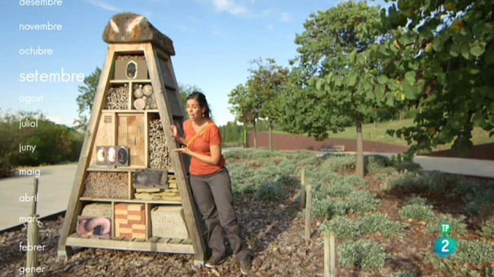 Animalades - Terra Baixa