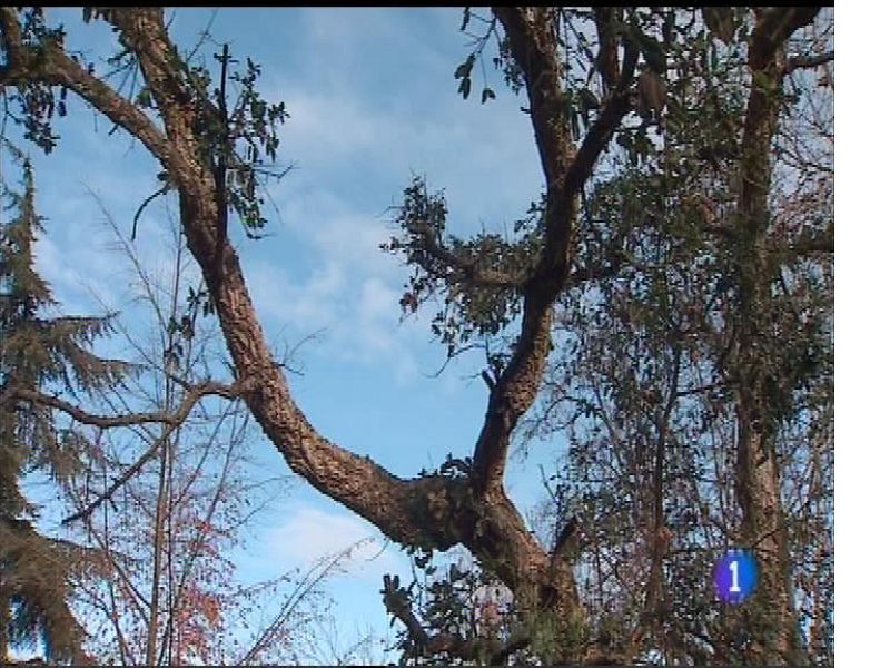 El tiempo en Asturias - 08/01/18 | Ver