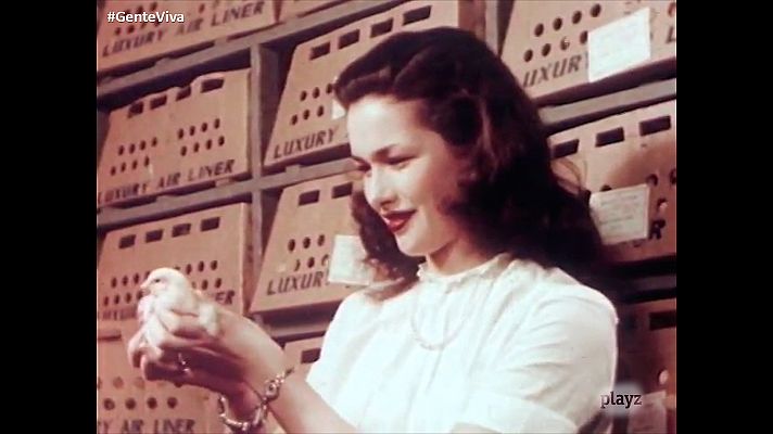 Gente viva - Los pollos del mañana (con audiodescripción)