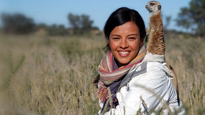 Grandes documentales - Los animales y el amor. Epidodio 2