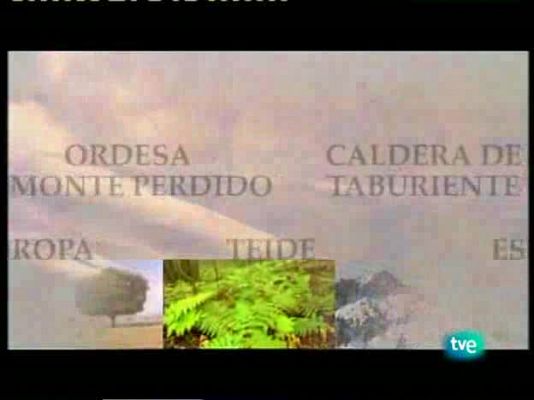 Espacios naturales - Cabañeros