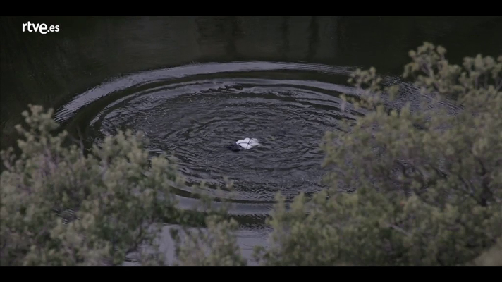 Traición - Isabel, Rafa y Víctor se deshacen del cadáver de Jaime