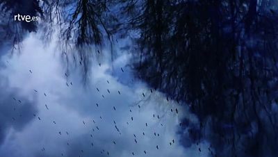 Palabra Voyeur - Poemas. Carmen Mart�n Gaite