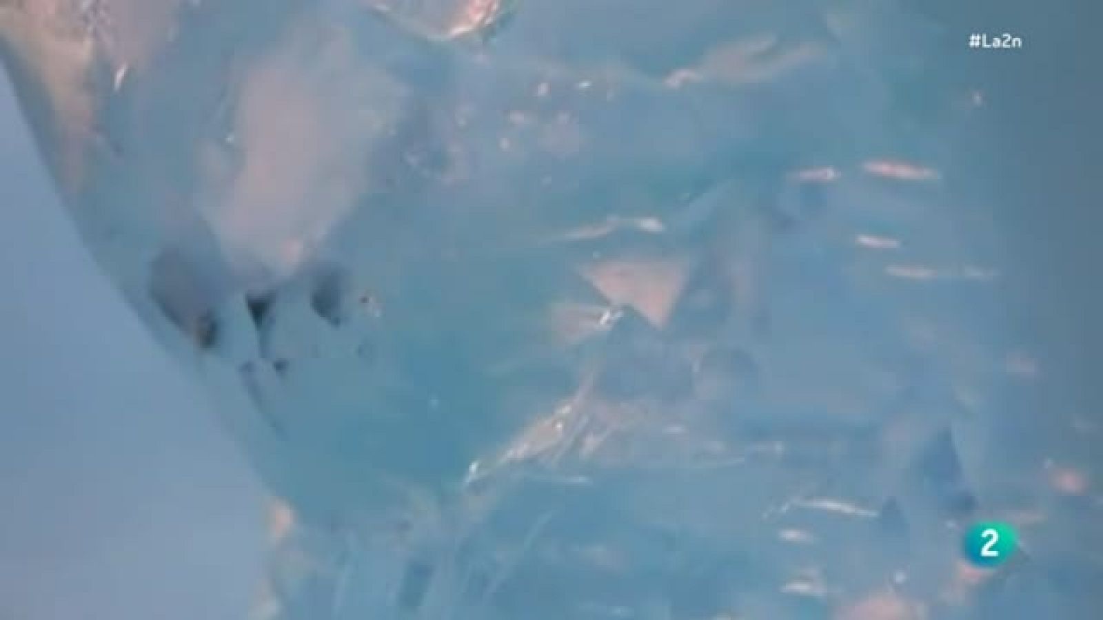 La 2 Noticias - Harbin, la ciudad de hielo