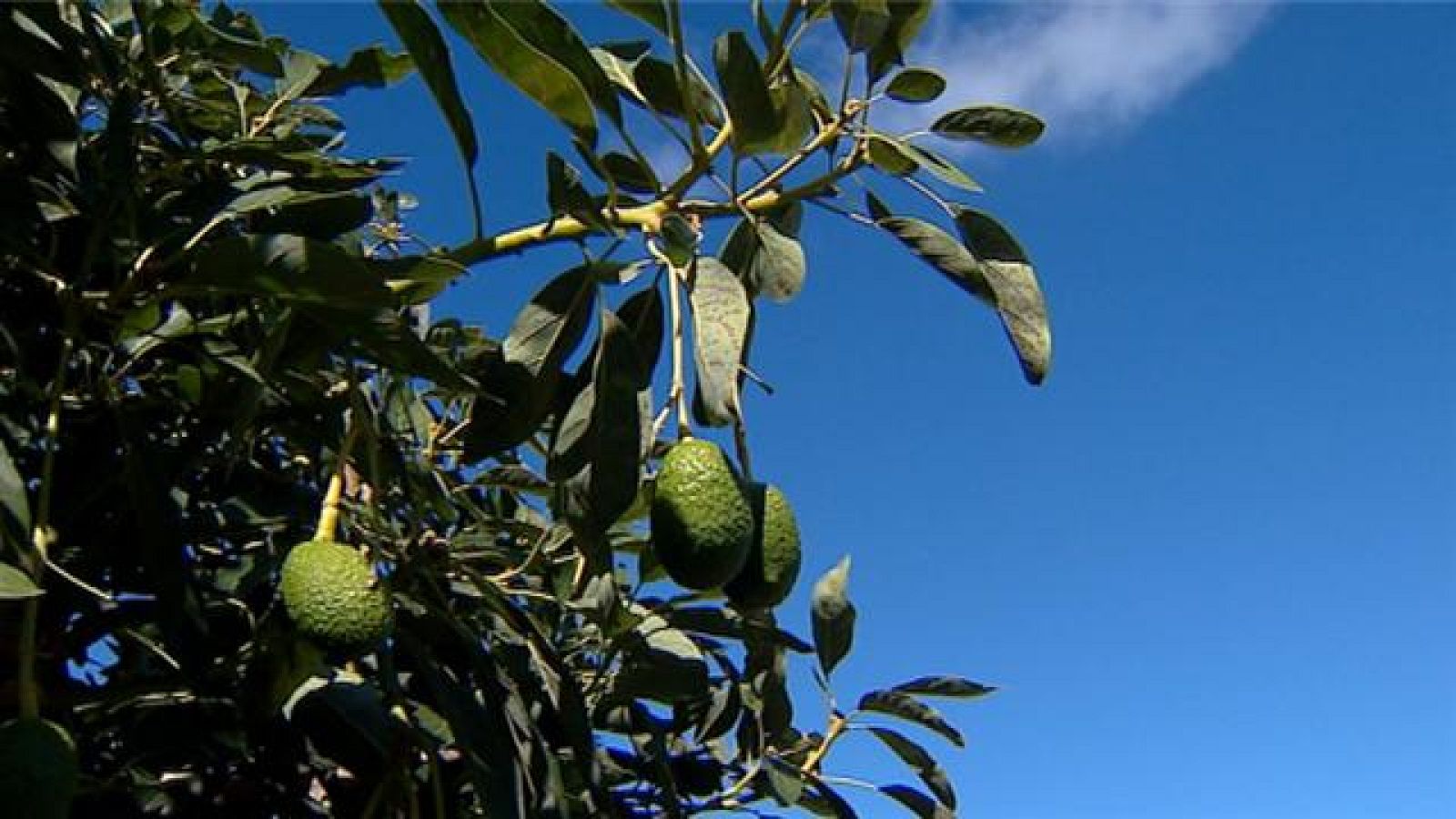 Canarias en 2' - 10/10/2018