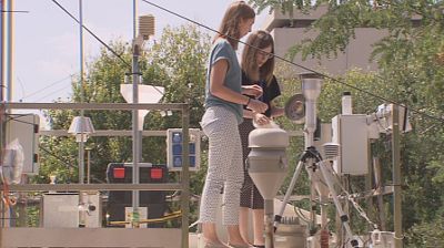 Cincuenta aos de impulso cientfico / El Botnico, un jardn que investiga