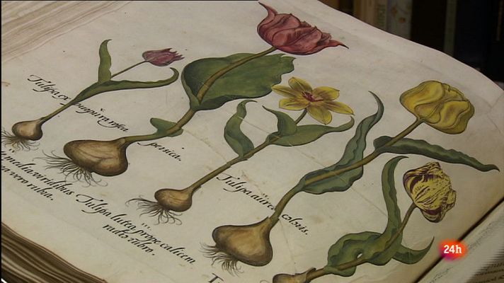 Lab24 - La ciencia del Botánico