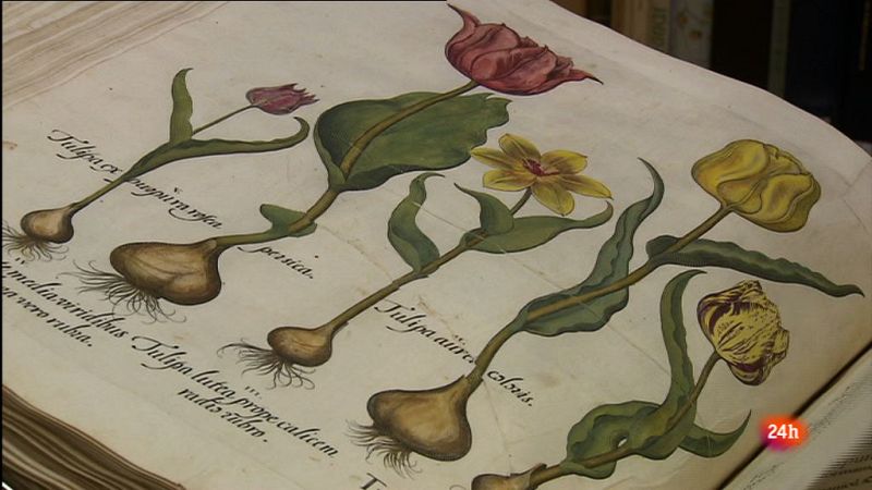 La ciencia del Botnico