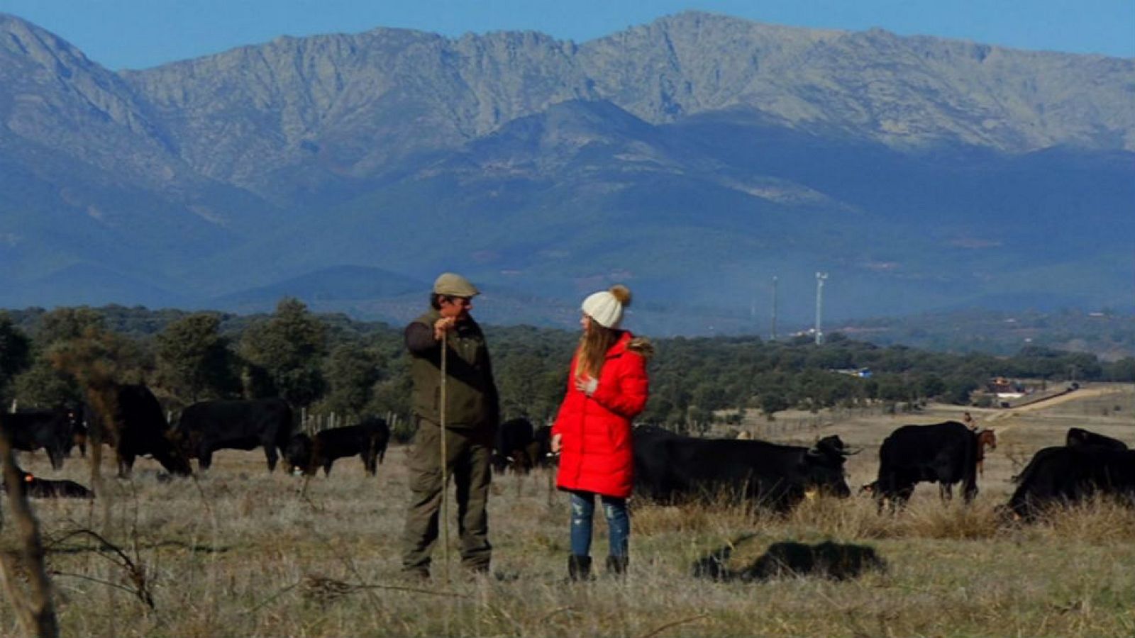 Trashumancia: un viaje heroico