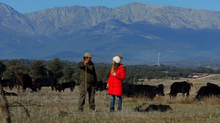Aquí la Tierra - Trashumancia: un viaje heroico