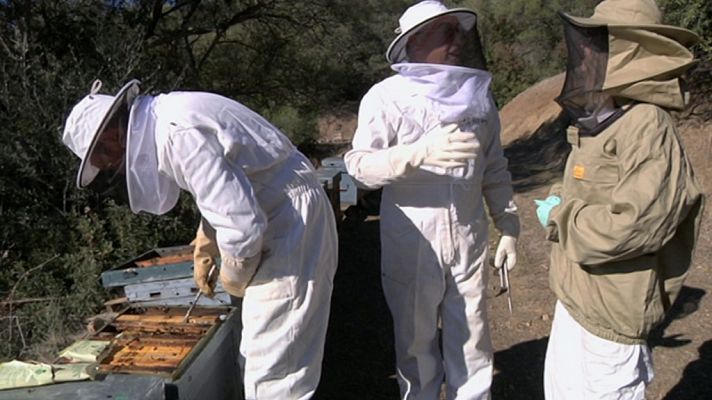 Aquí la Tierra - Aquí la Tierra - 11/01/18