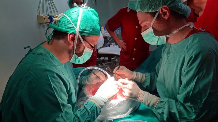  - España sigue como líder mundial en donaciones y trasplantes de órganos