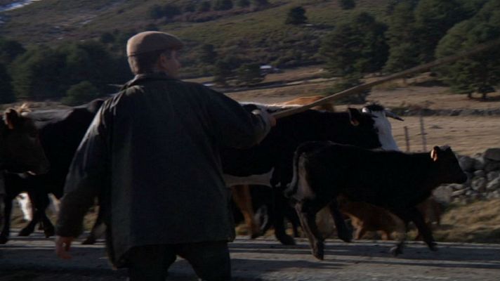 Aquí la Tierra - La trashumancia en el siglo XXI