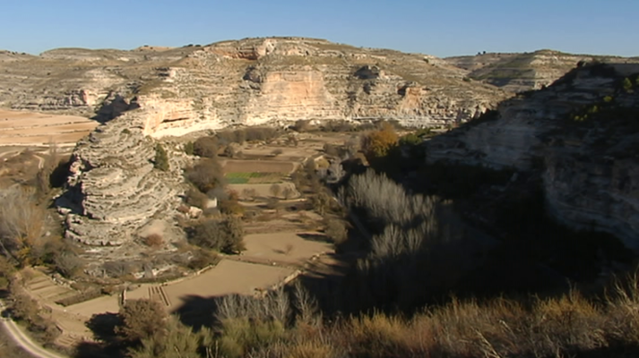 Agrosfera - Agrosfera - 13/01/18